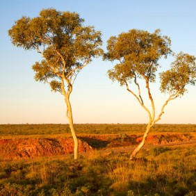 The Matilda Highway