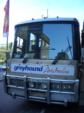 Greyhound bus Australia