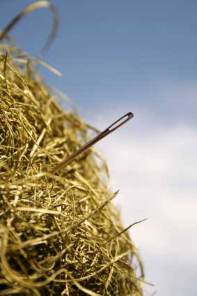 Needle in a haystack